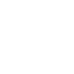 toplevellogowhite